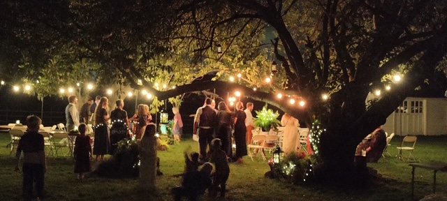 Reception guests under the old tree strung with lights